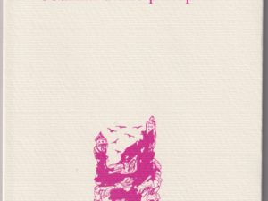 JOURNAL D&rsquo;UNE PANOPLIE